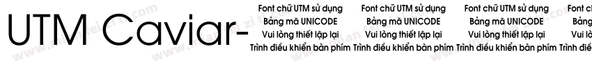 UTM Caviar字体转换